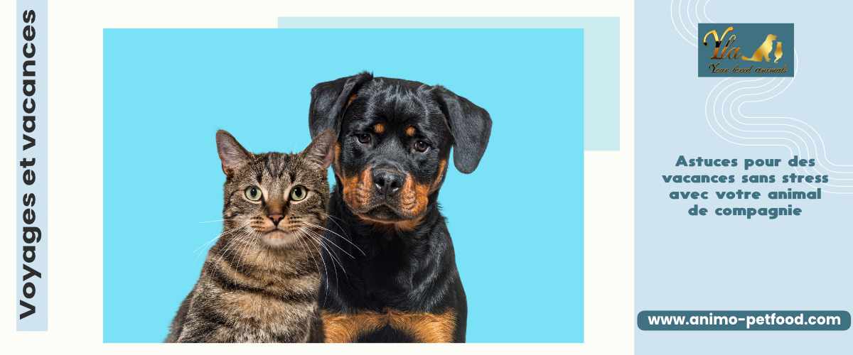 Voyages et vacances - Astuces pour des vacances sans stress avec votre animal de compagnie